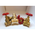 J1013 Forged Brass magnetic lockable gate valve